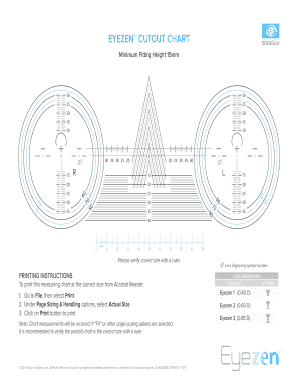 Eyezen Chart  Form