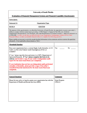 Mini Audit  Form