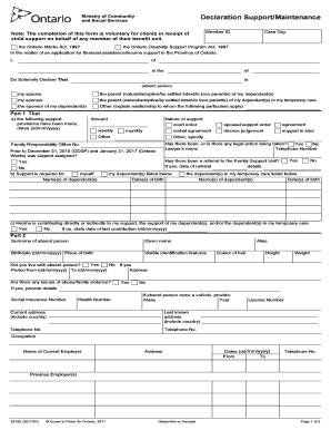 Odsp Income Report Form