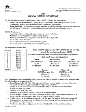 Liheap Application Printable  Form