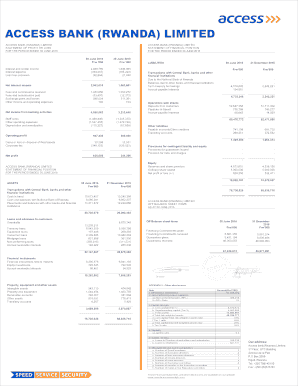 Access Bank Account Statement  Form