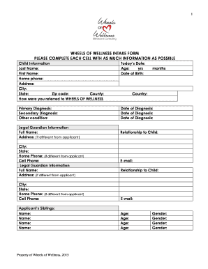 ABA Chicago Intake Form Wheels of Wellness