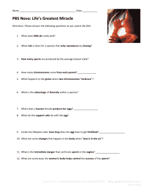 Life&#039;s Greatest Miracle Worksheet  Form