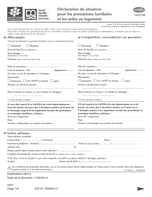 Cerfa 11423 6 PDF  Form