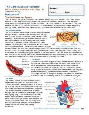 Ecg Activity Haspi Answer Key  Form