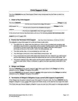 Child Support Order Example  Form