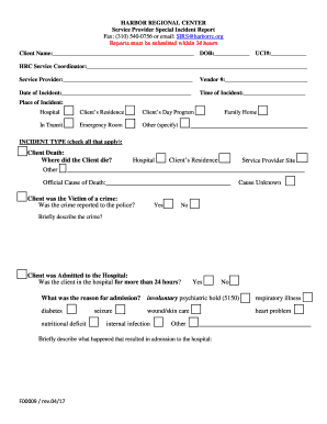 Service Provider Special Incident Report  Form