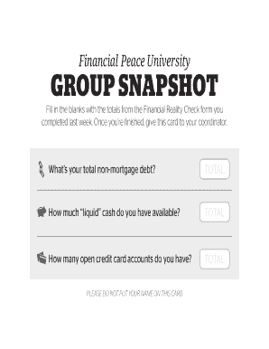 Financialpeace Com Financial Snapshot  Form