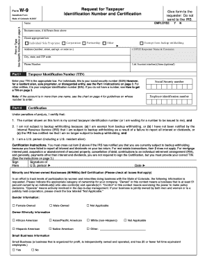 Form W 9 Colorado Gov