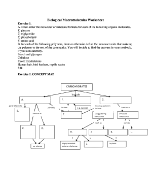 Macromolecule Worksheet Answer Key PDF  Form