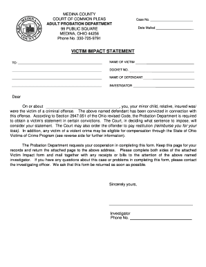 Impact Statement Template  Form