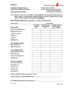 FORM E M&amp;E WORK Performance Assessment