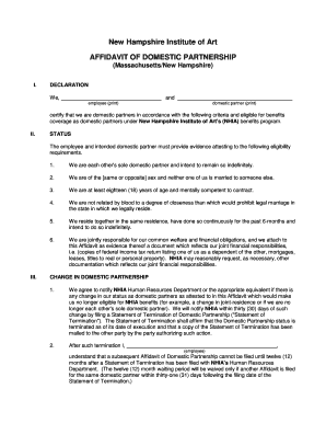 Domestic Partner Affidavit Form