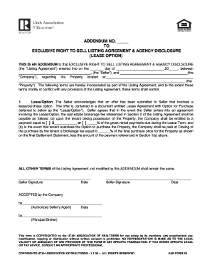 Vehicle Addendum Template PDF  Form