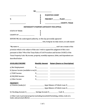 Pauper39s Affidavit  Form