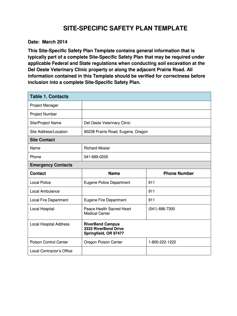Fillable Safety Plan  Form