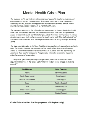 Mental Health Crisis Plan Template PDF  Form