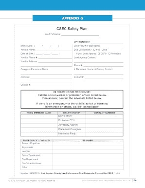 CSEC Safety Plan  Form