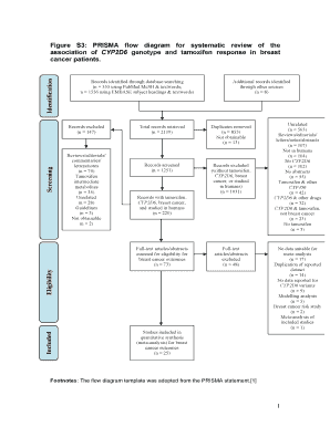 Prisma Diagram Generator  Form