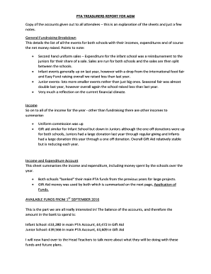 Treasurer Report for Agm Template  Form