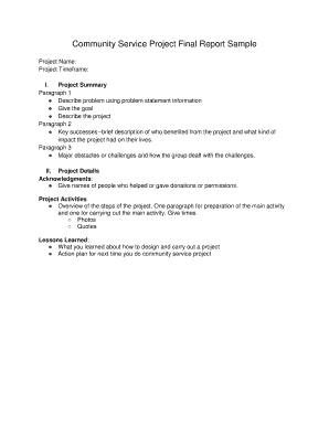 Community Service Report Sample PDF  Form