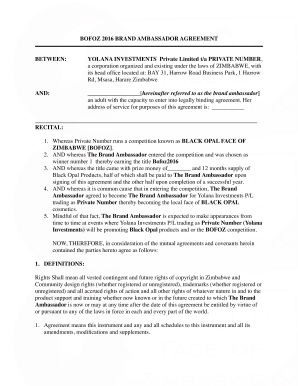 Simple Brand Ambassador Agreement Template  Form