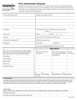  Form Pa 1 Masshealth 2017-2024