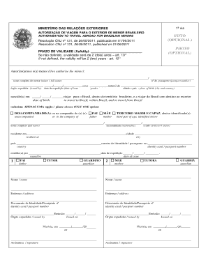 Brazil Travel Authorization Form