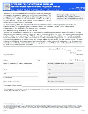 DIVERSITY SELF ASSESSMENT TEMPLATE  Form