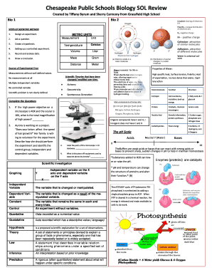 Biology Sol Review Packet  Form