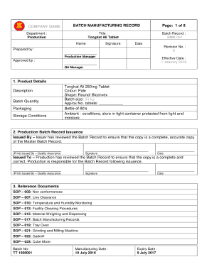 Batch Manufacturing Record Sample Format