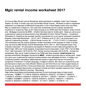Mgic Rental Income Worksheet Fillable  Form