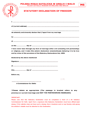 Statutory Declaration of Dom Jak Wype Ni  Form