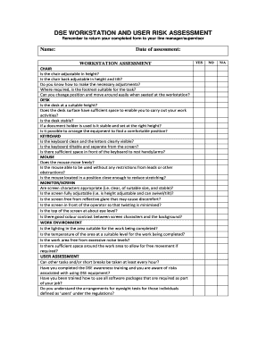 Dse Risk Assessment Example  Form