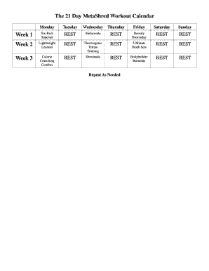 21 Day Metashred Workout PDF  Form