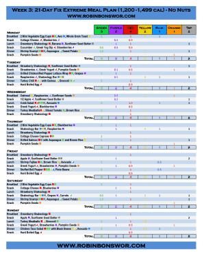 21 Day Fix Extreme Meal Plan PDF  Form