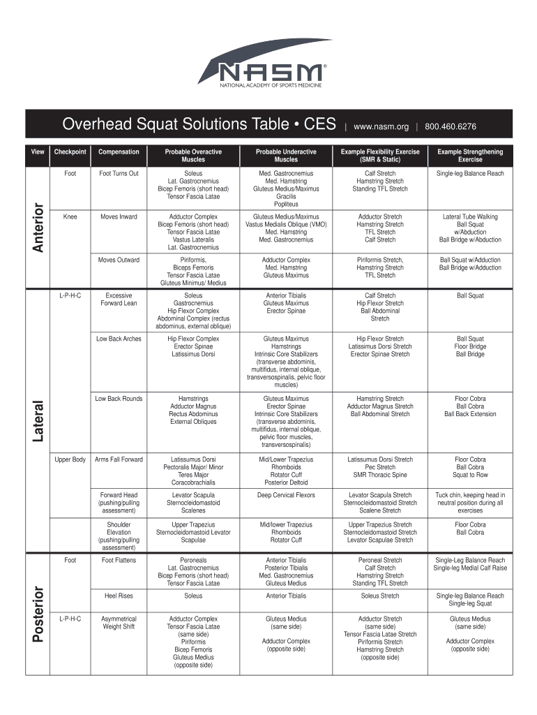 Overhead Squat Solutions Table CES  Form