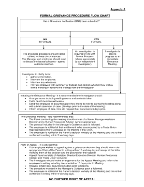 Grievance Procedure Flow Chart Template  Form