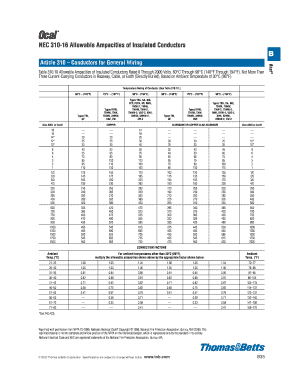 310 16 Nec  Form