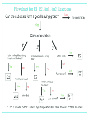 Sn1 Sn2 E1 E2 Flowchart  Form