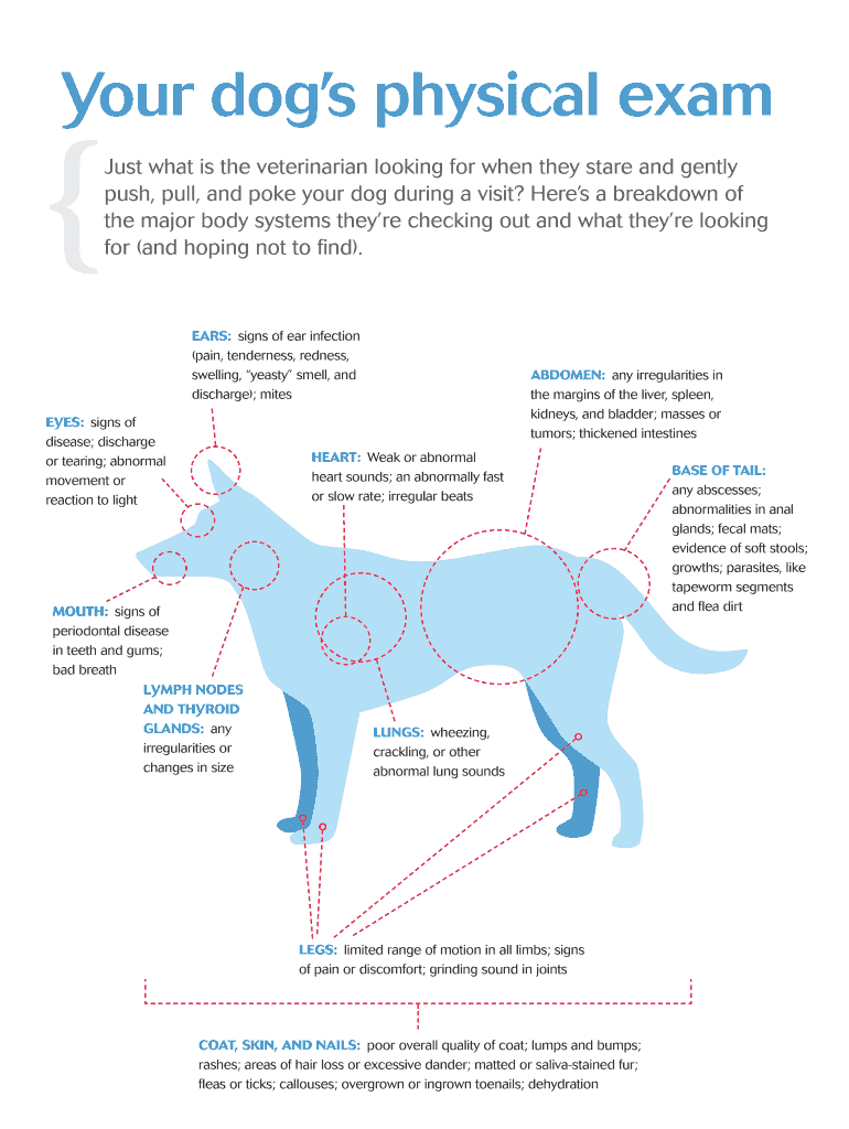 Your Dogs Physical Exam  Form