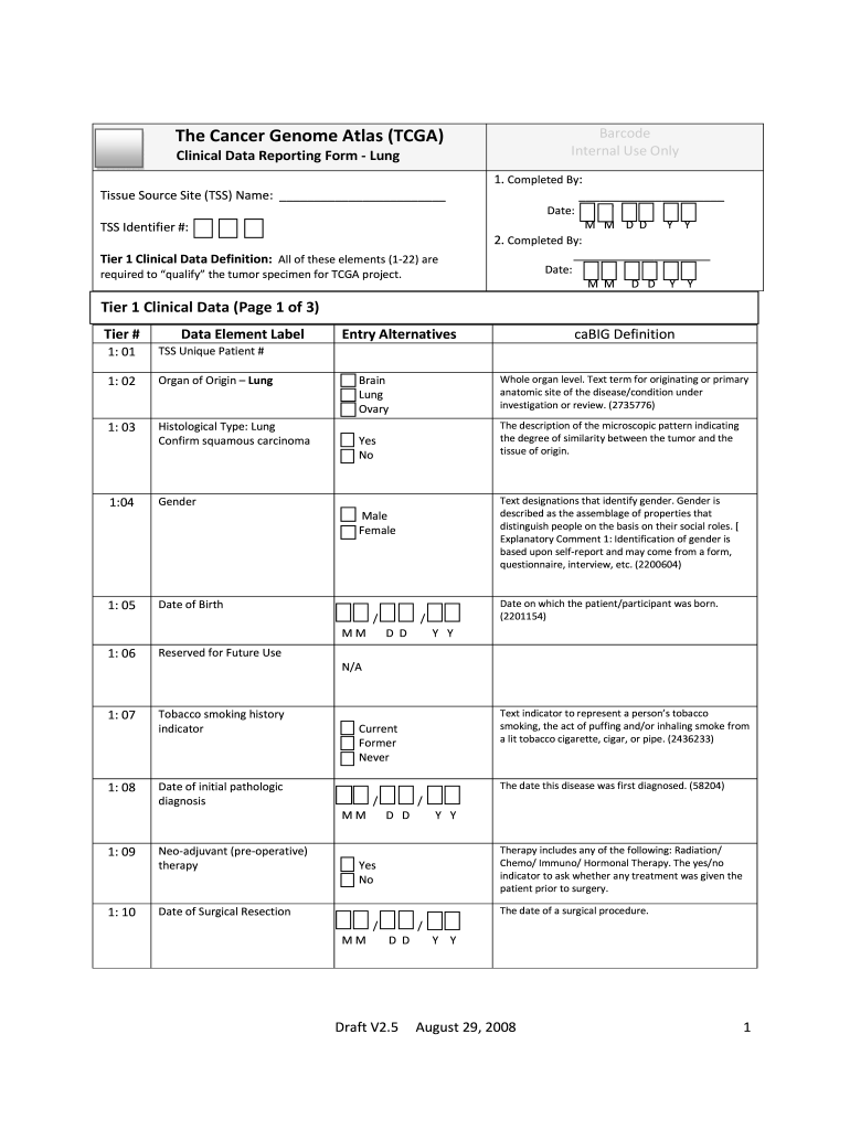 Clinical Data Reporting Form Lung