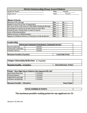 Scholarship Rubric Template  Form