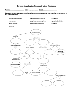 Mapping the Nervous System  Form