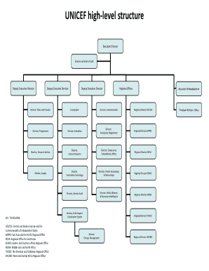 Organizational Structure of Unicef  Form