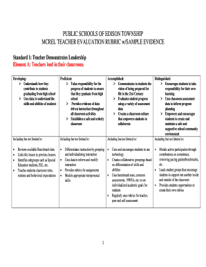 Mcrel Teacher Evaluation Rubric PDF  Form