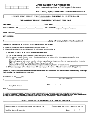 Westchester County Office of Child Support Enforcement  Form