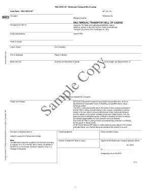 Multidoc 95  Form