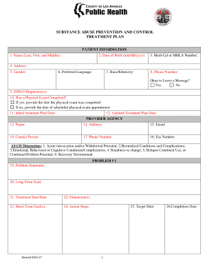 Treatment Plan Treatment Plan  Form