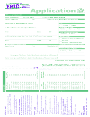  the EPIC Application New York State Department of Health Health Ny 2019